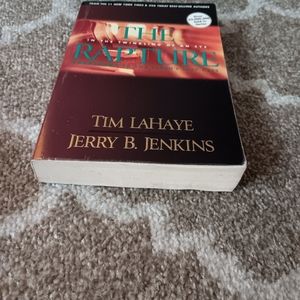 Individual book in left behind series